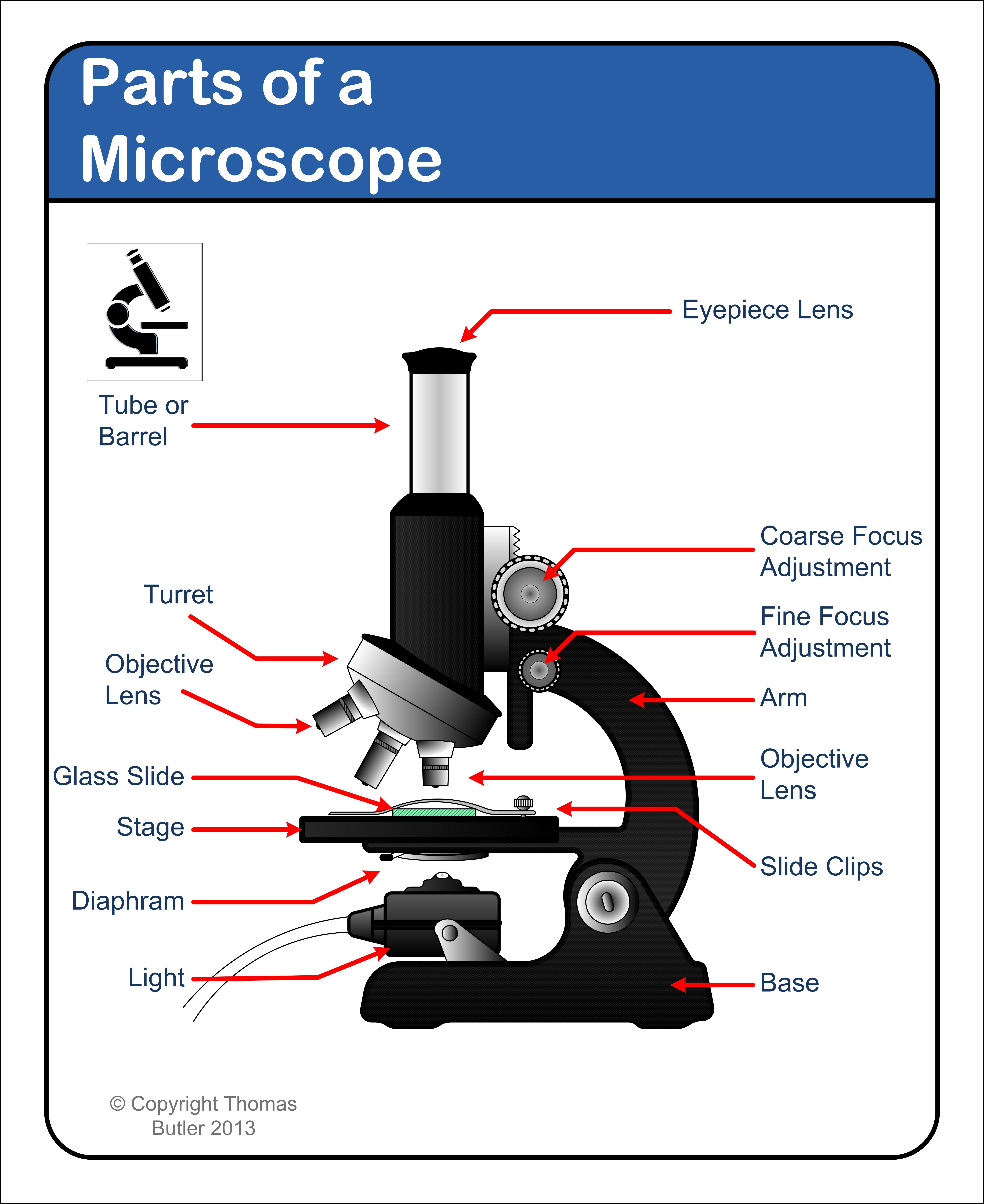 30 Microscope Label And Functions - Label Design Ideas 2020