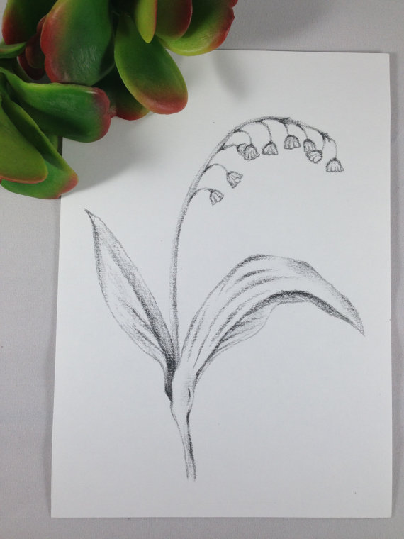 Lily Of The Valley Drawing at GetDrawings | Free download