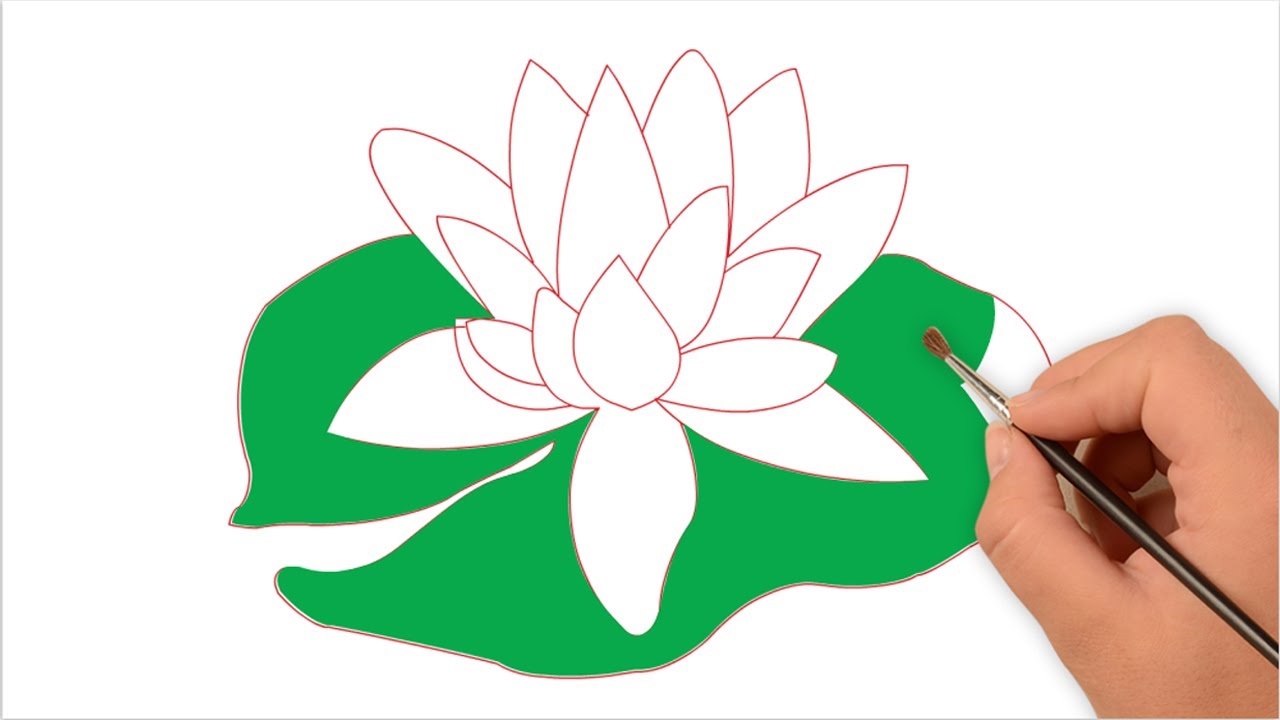 How To Draw A Lily Pad Flower Easy / Draw a lily pad beneath it by