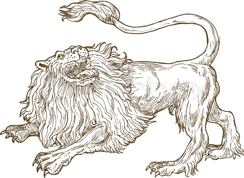 realistic full body lion drawing