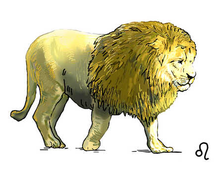 Lion Drawing Color at GetDrawings | Free download