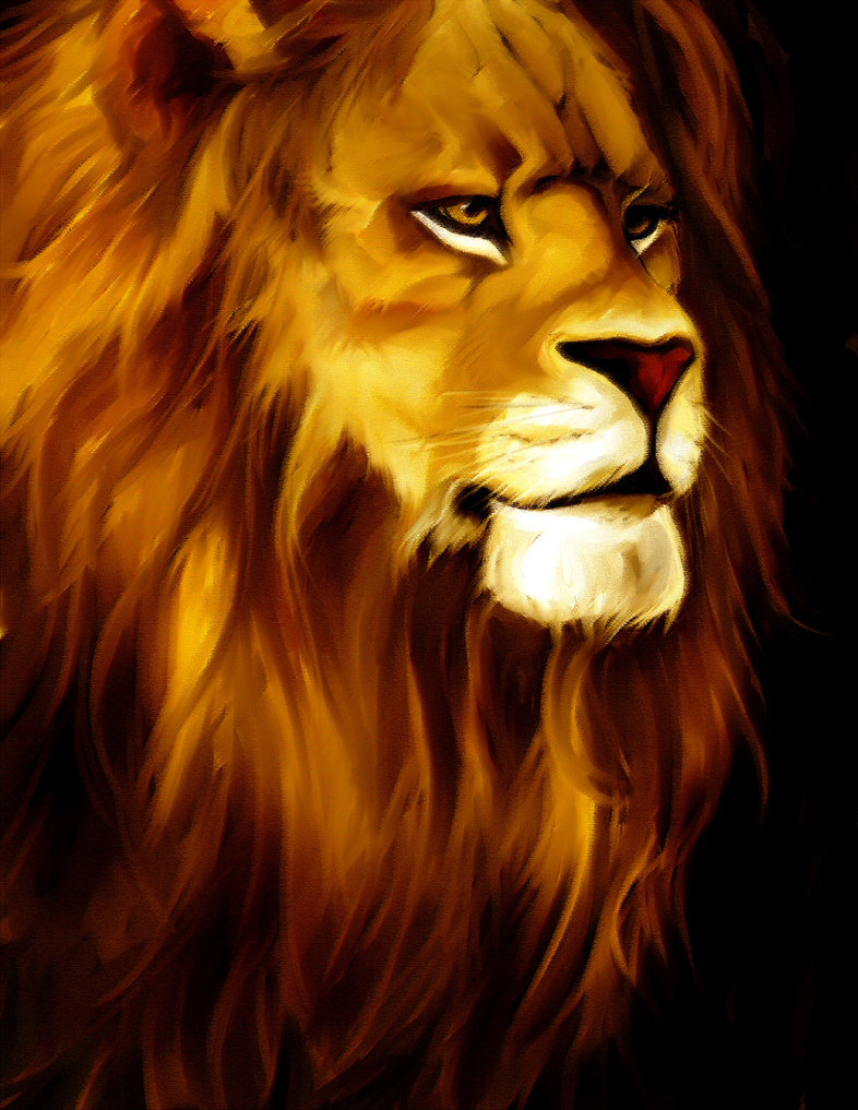 Lion Drawing Color at GetDrawings | Free download