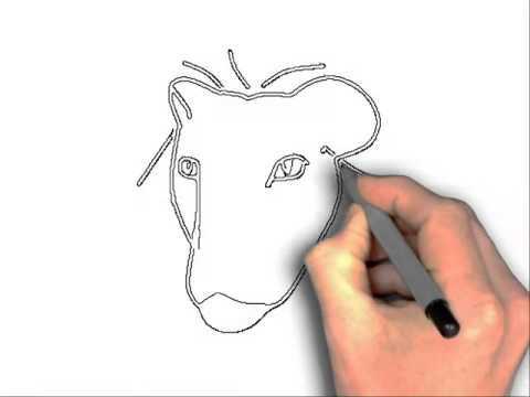 Lion Head Drawing Step By Step at GetDrawings | Free download