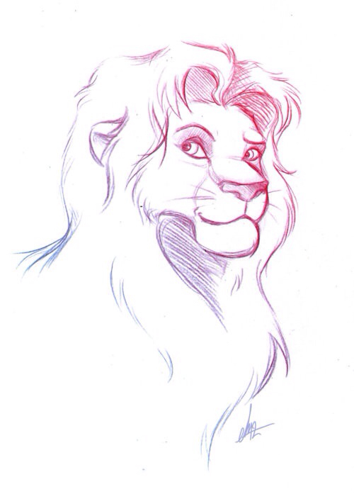 Lion King Pencil Drawing At Getdrawings Free Download 1731