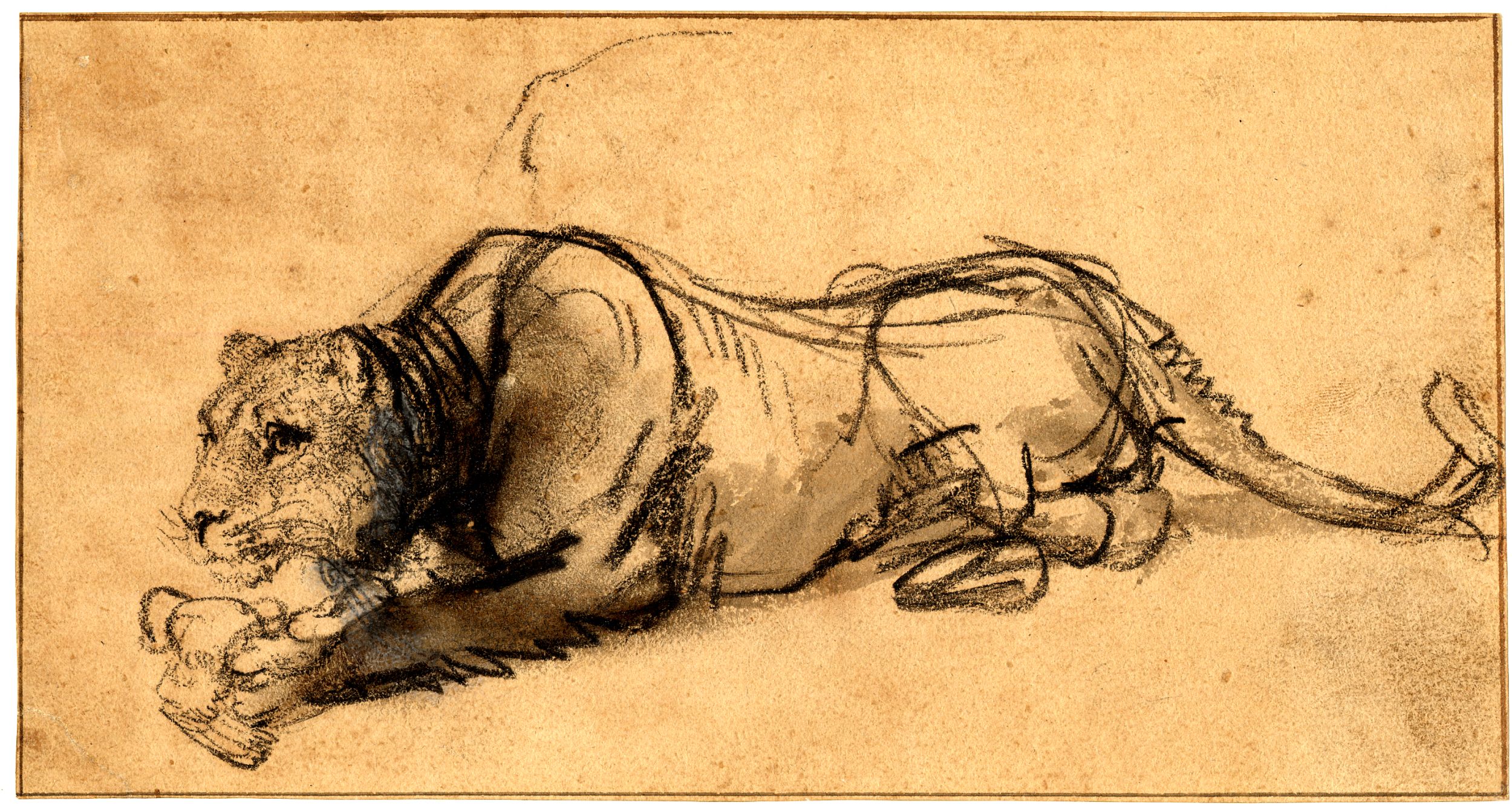 Рембрандт анималистика