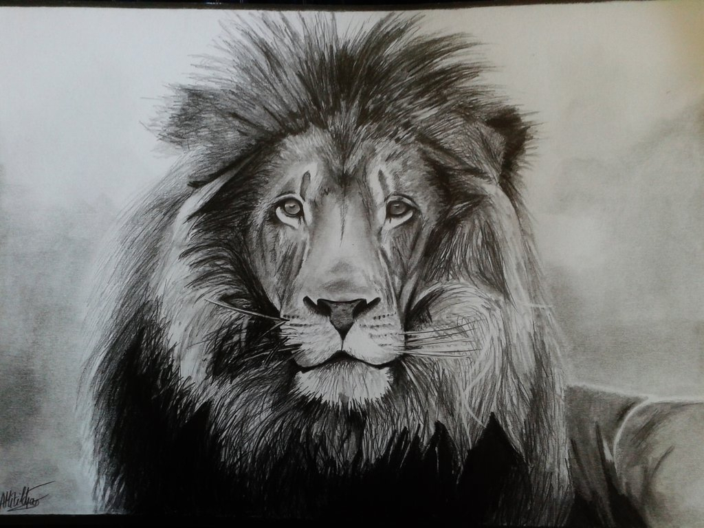 human lion drawing