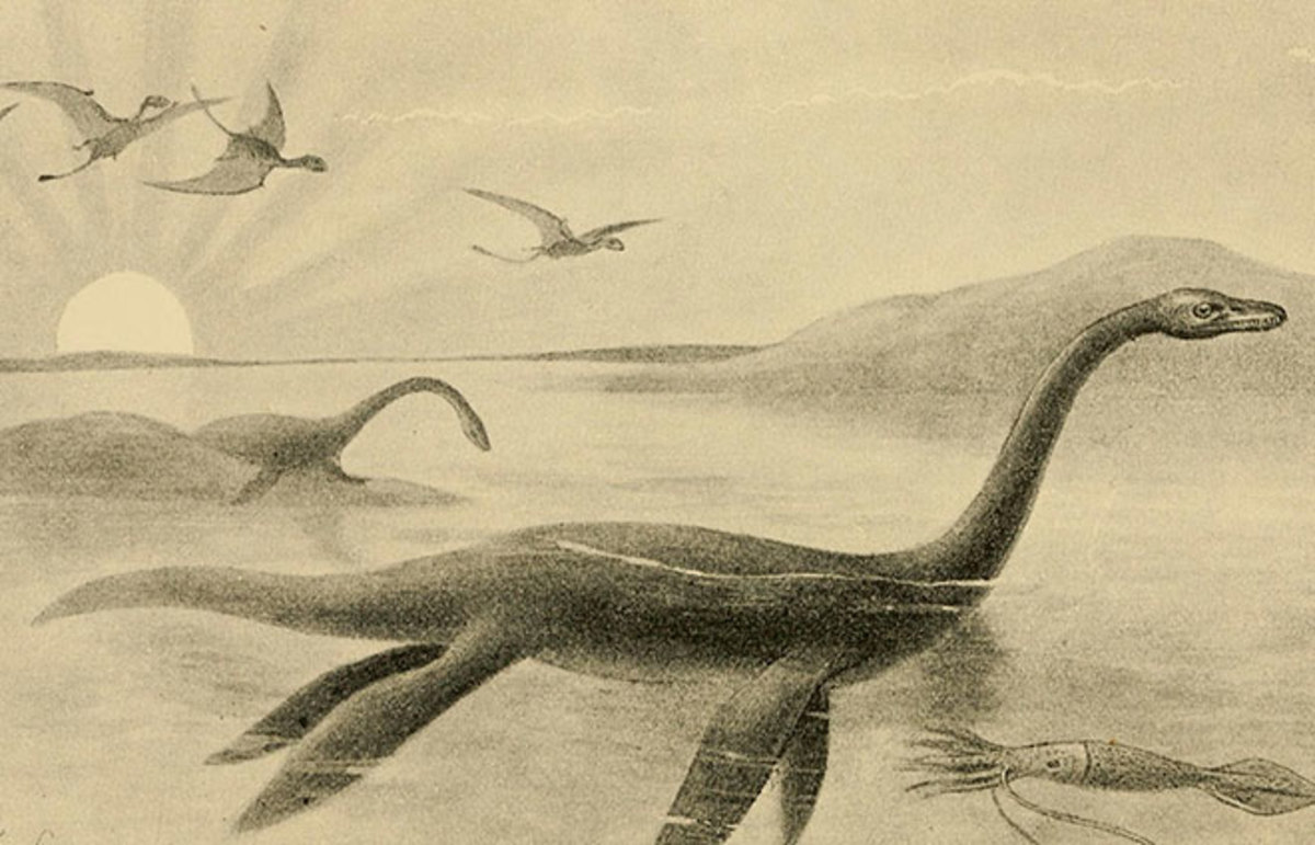 Loch Ness Monster Drawing at GetDrawings Free download