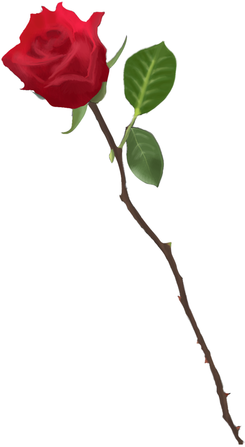 Long Stem Rose Drawing at GetDrawings | Free download