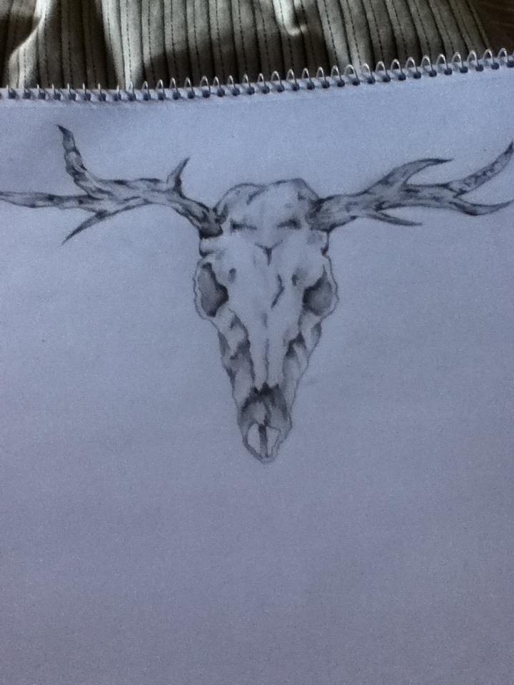 Longhorn Skull Drawing At Getdrawings Free Download