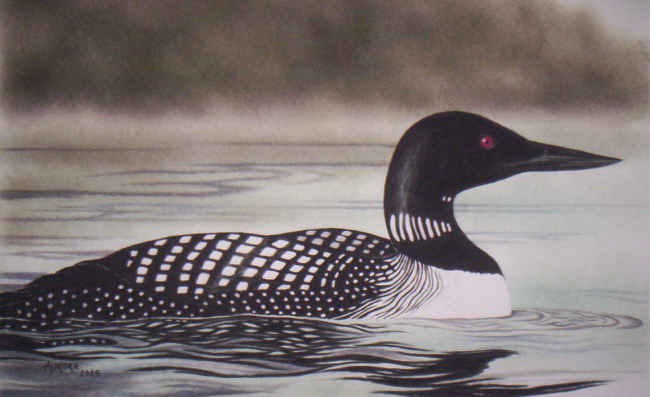 Loon Drawing at GetDrawings | Free download