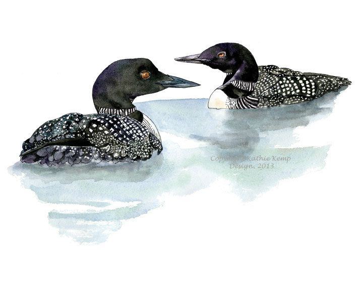 Loon Drawing at GetDrawings | Free download