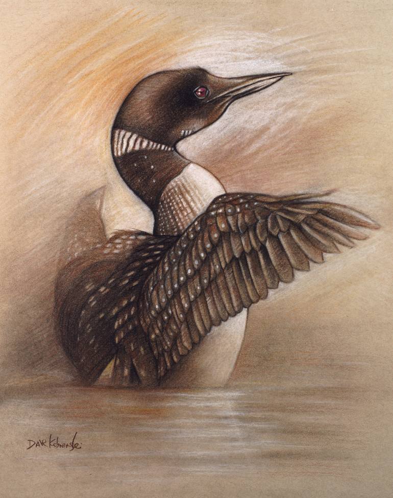 Loon Drawing at GetDrawings Free download