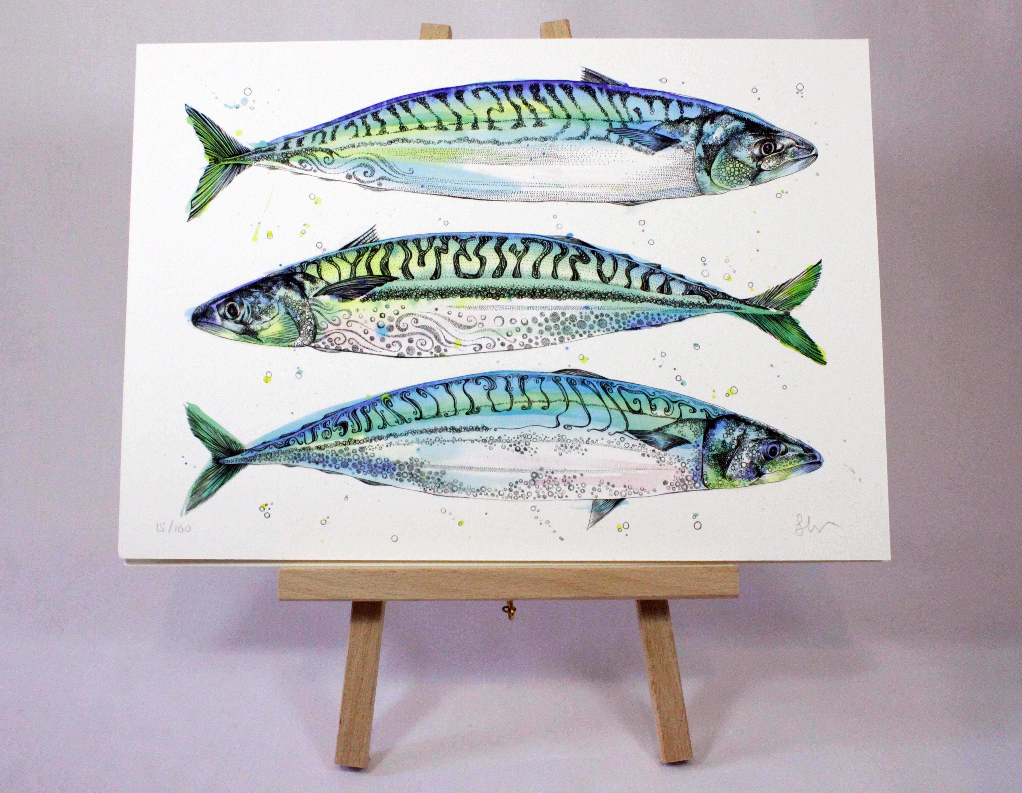 Mackerel Drawing at GetDrawings Free download