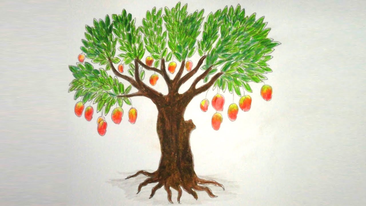 Mango Tree Drawing at GetDrawings | Free download