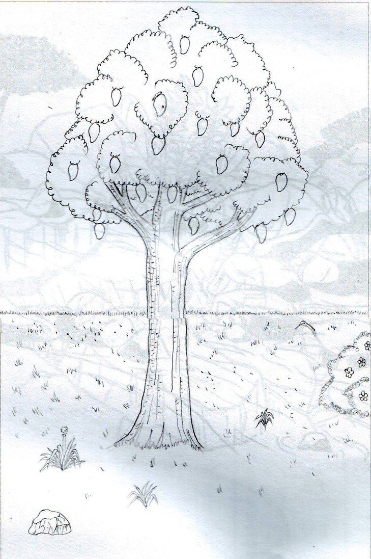 Mango Tree Drawing at GetDrawings | Free download