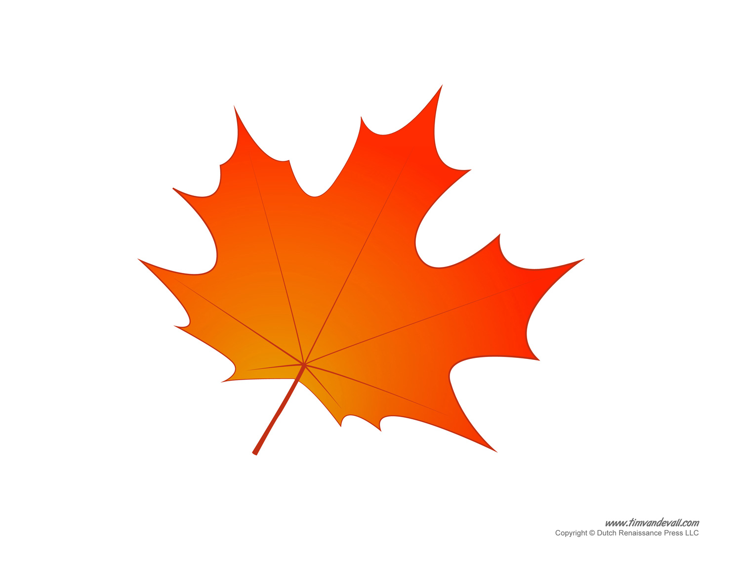 Maple Leaf Drawing Template At GetDrawings Free Download