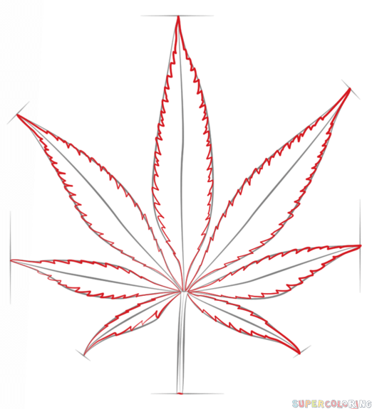 Marijuana Leaf Drawing Step By Step at GetDrawings Free download