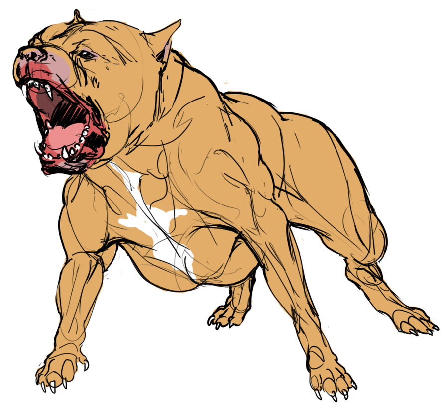 Mean Dog Drawing at GetDrawings Free download