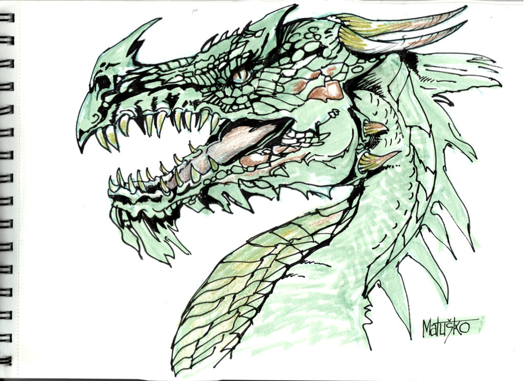 Medieval Dragon Drawing at GetDrawings Free download