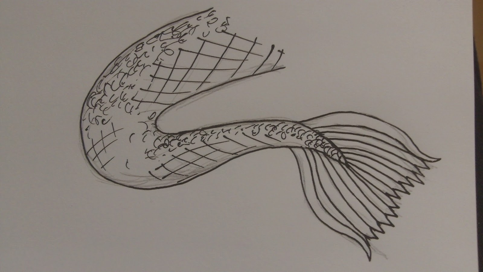 Mermaid Tails Drawing at GetDrawings | Free download