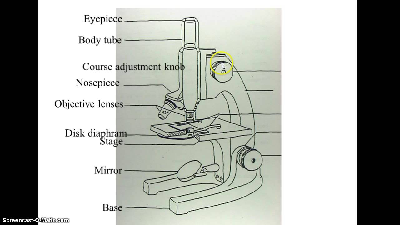 Microscope Drawing Easy At GetDrawings | Free Download