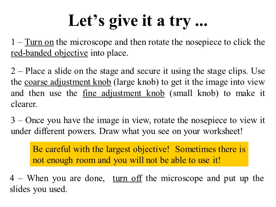 Microscope Drawing Worksheet at GetDrawings | Free download