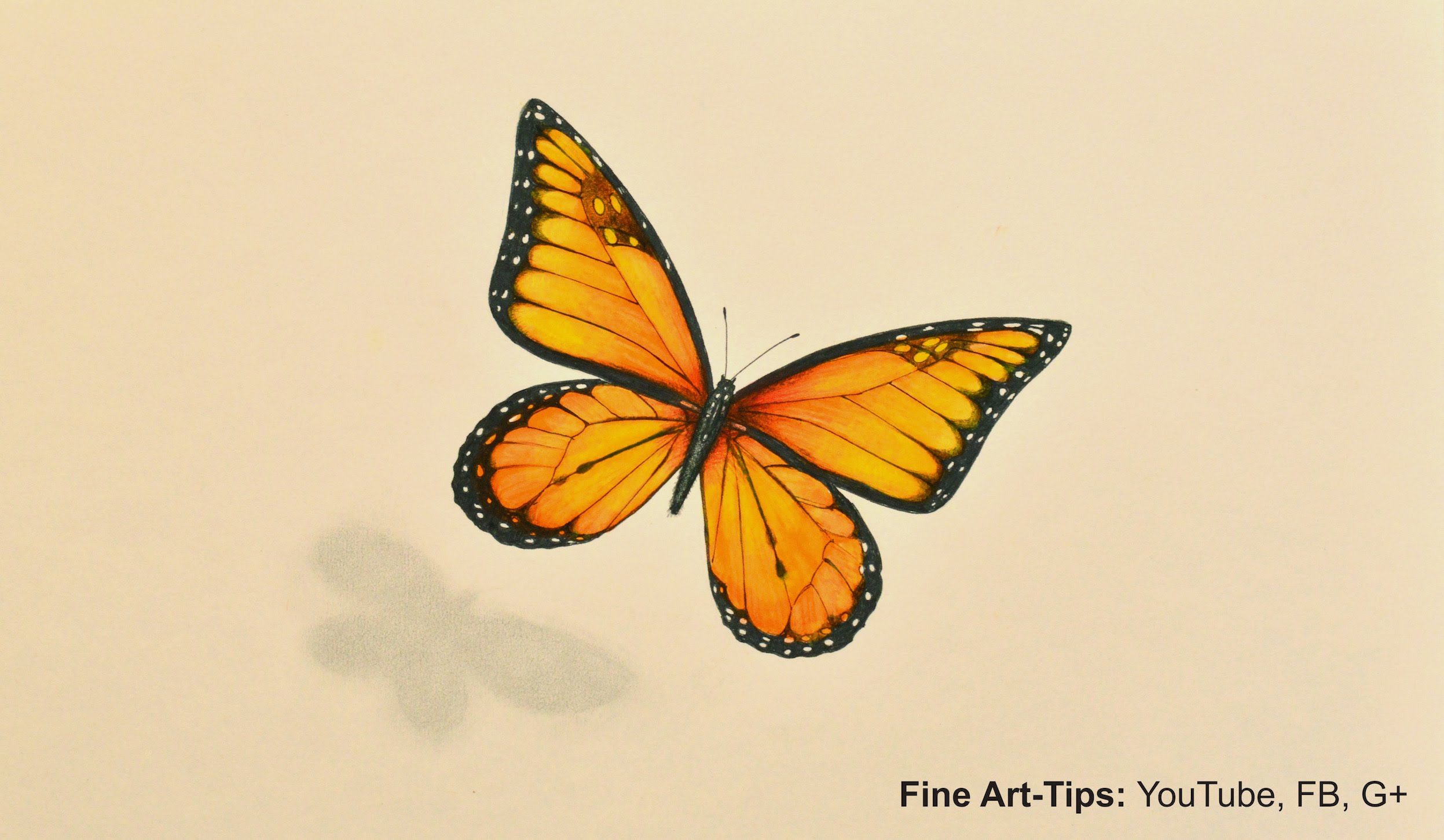 Monarch Butterfly Drawing at GetDrawings Free download
