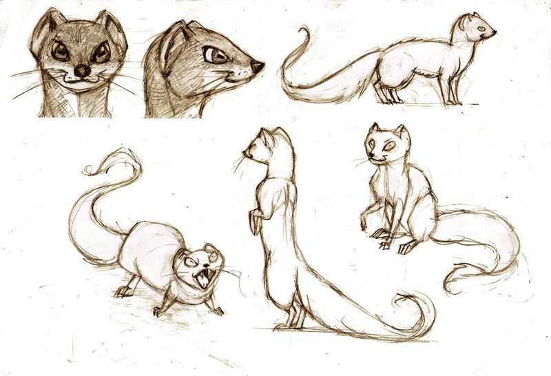 Mongoose Drawing at GetDrawings | Free download