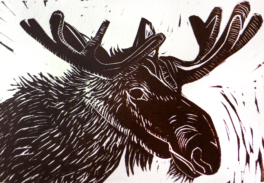 Moose Head Drawing at GetDrawings | Free download