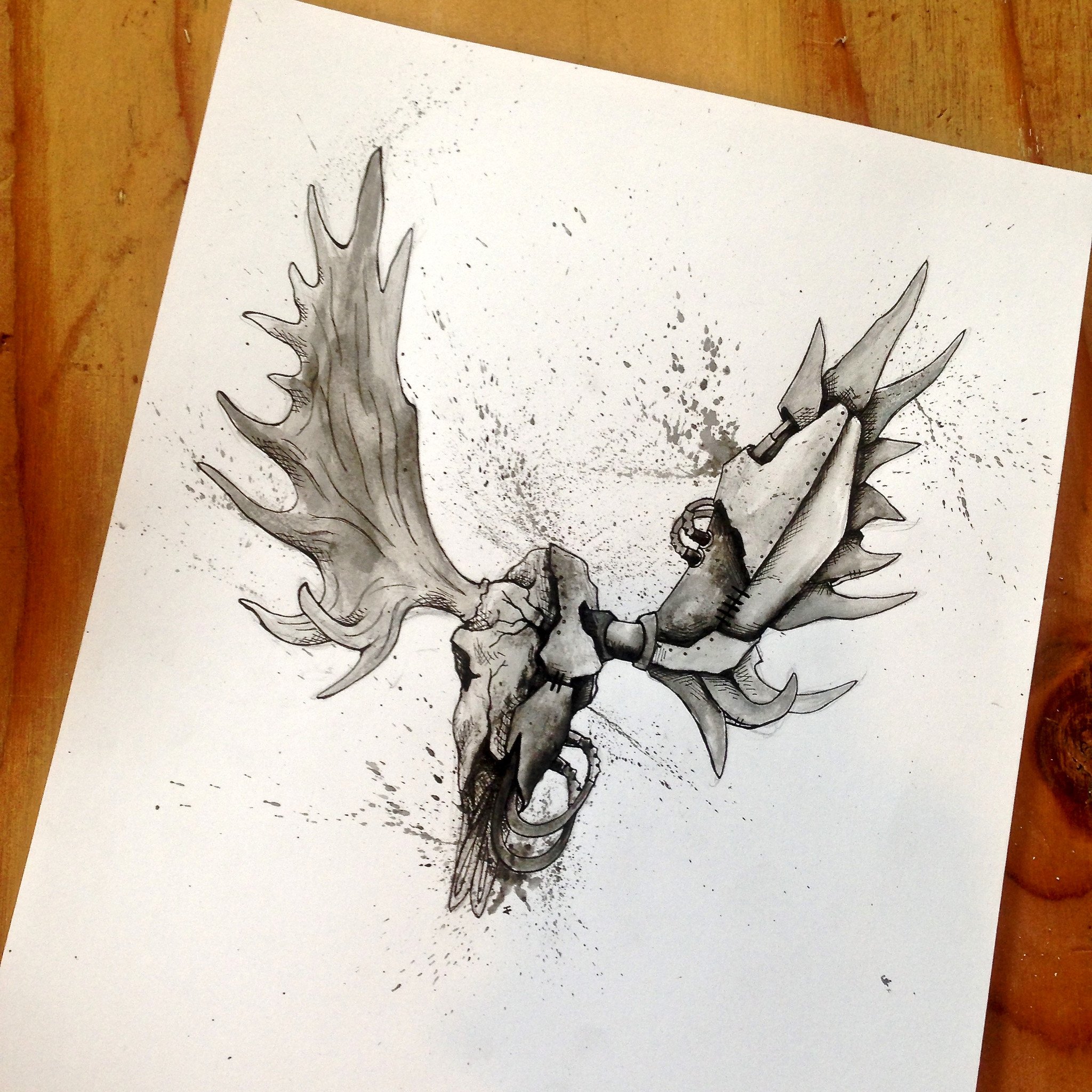 Moose Skull Drawing at GetDrawings Free download