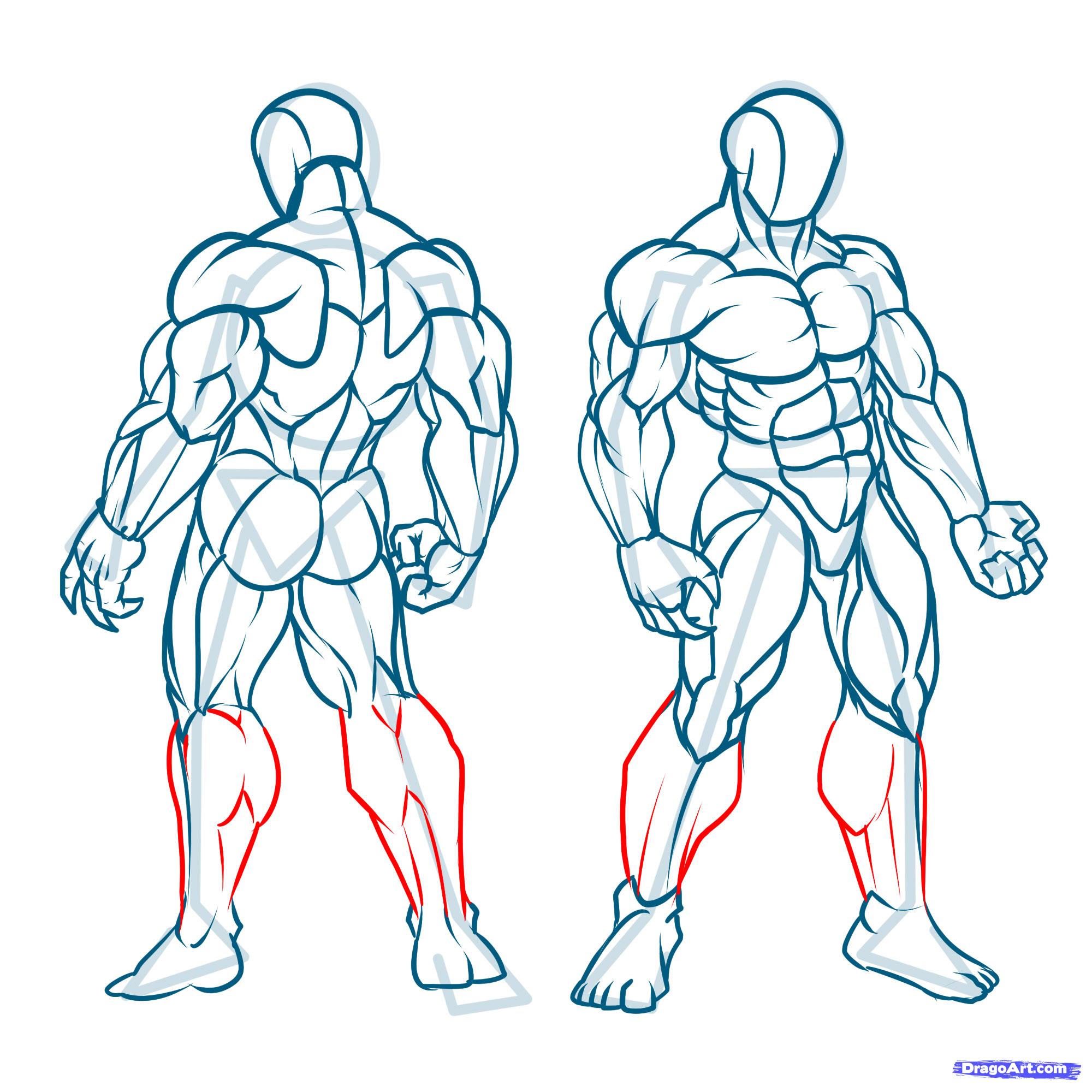 Muscle Body Drawing at GetDrawings | Free download