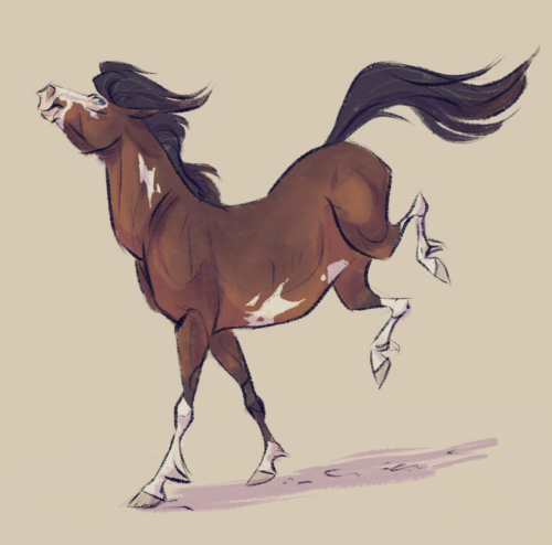 Mustang Horse Drawing at GetDrawings | Free download