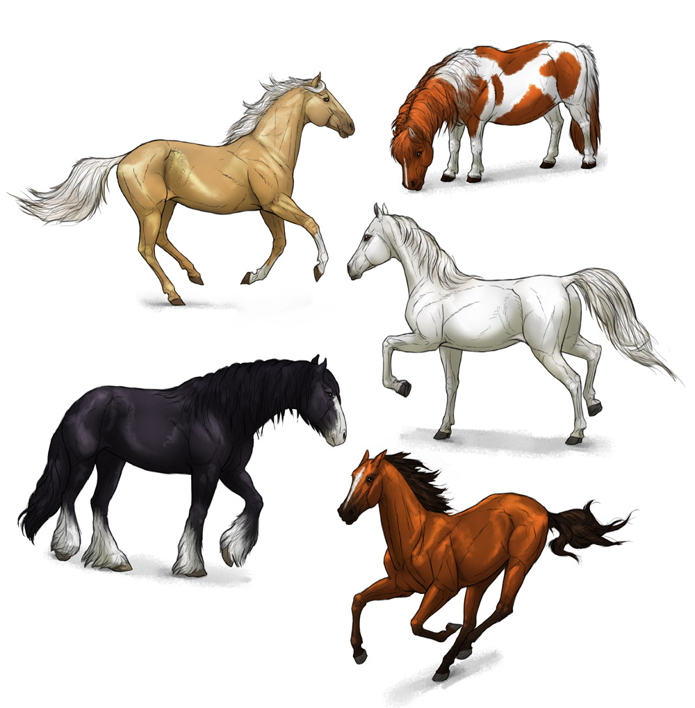 Mustang Horse Drawing at GetDrawings Free download