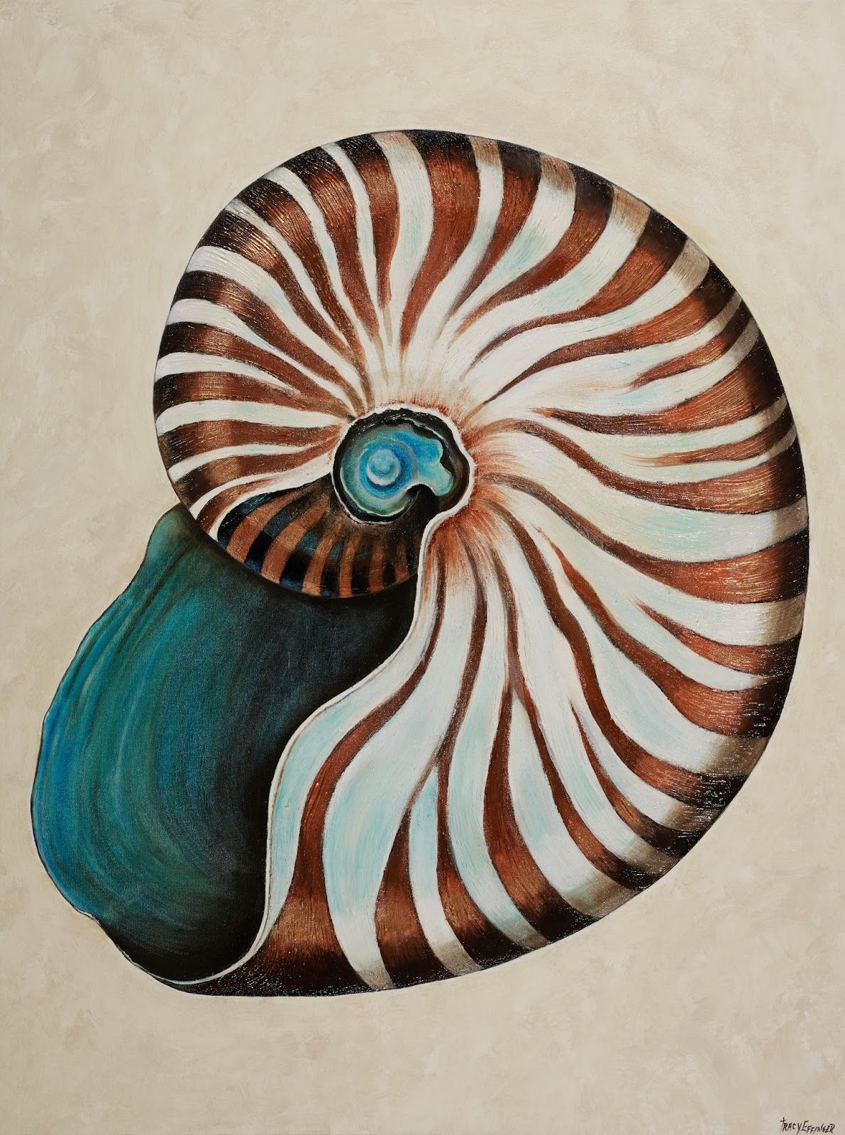 nautilus shell drawing shells tattoo paintings seashell painting sea watercolor tattoos tracy effinger upton animal acrylic artist getdrawings seashells possible