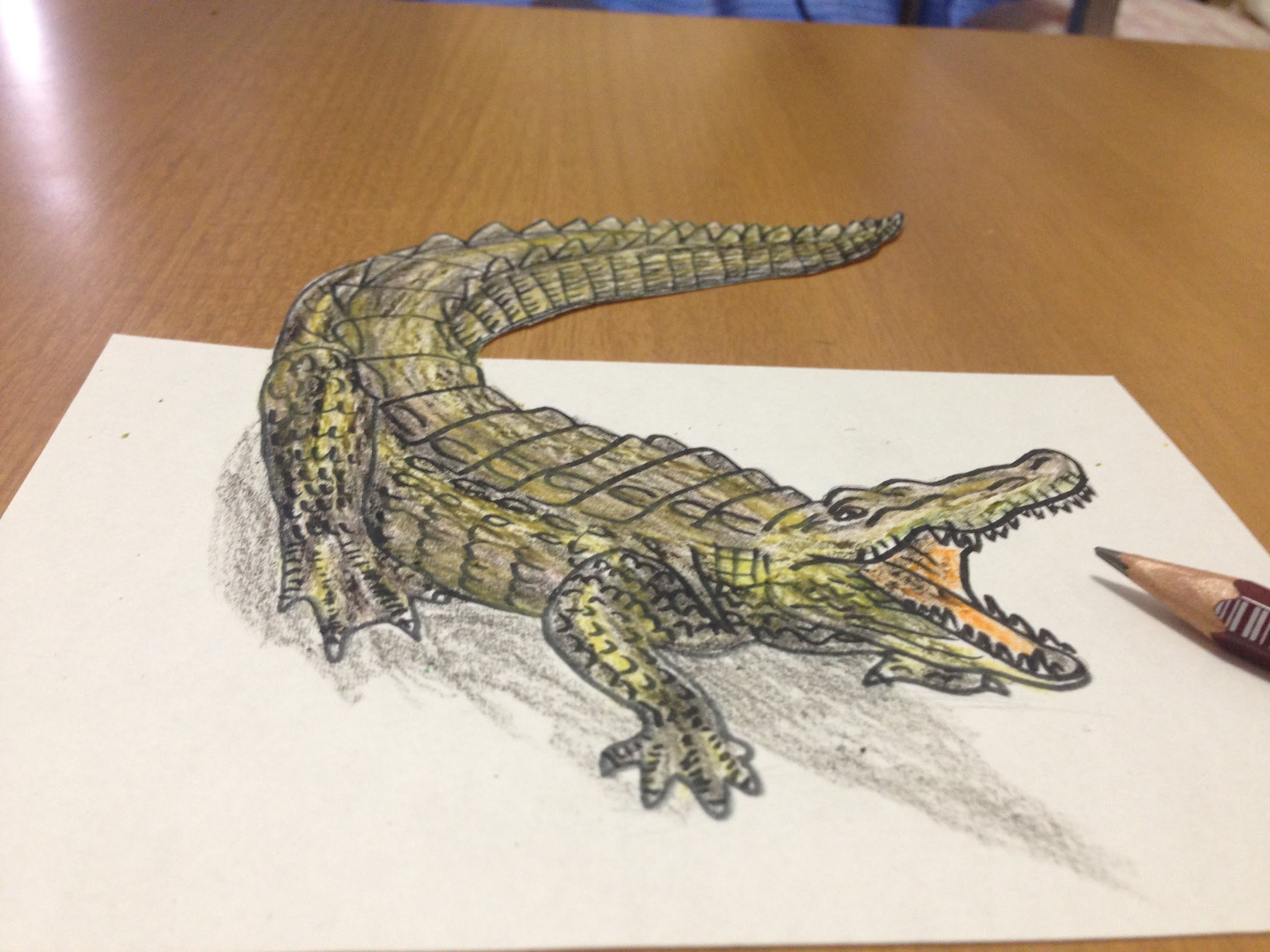 Creative Sketch Drawing Of Crocs with Pencil