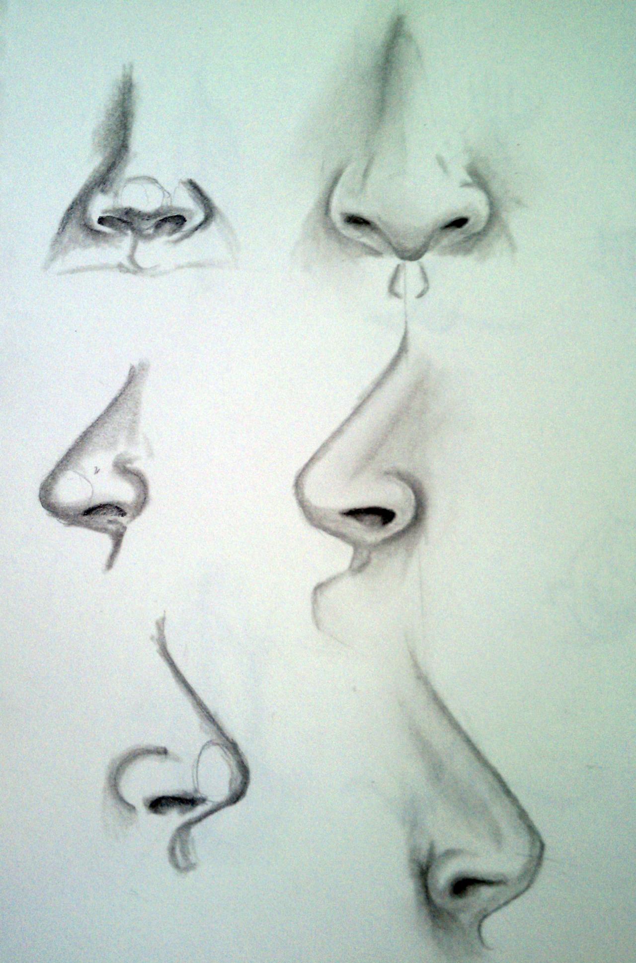 blush on nose sketch