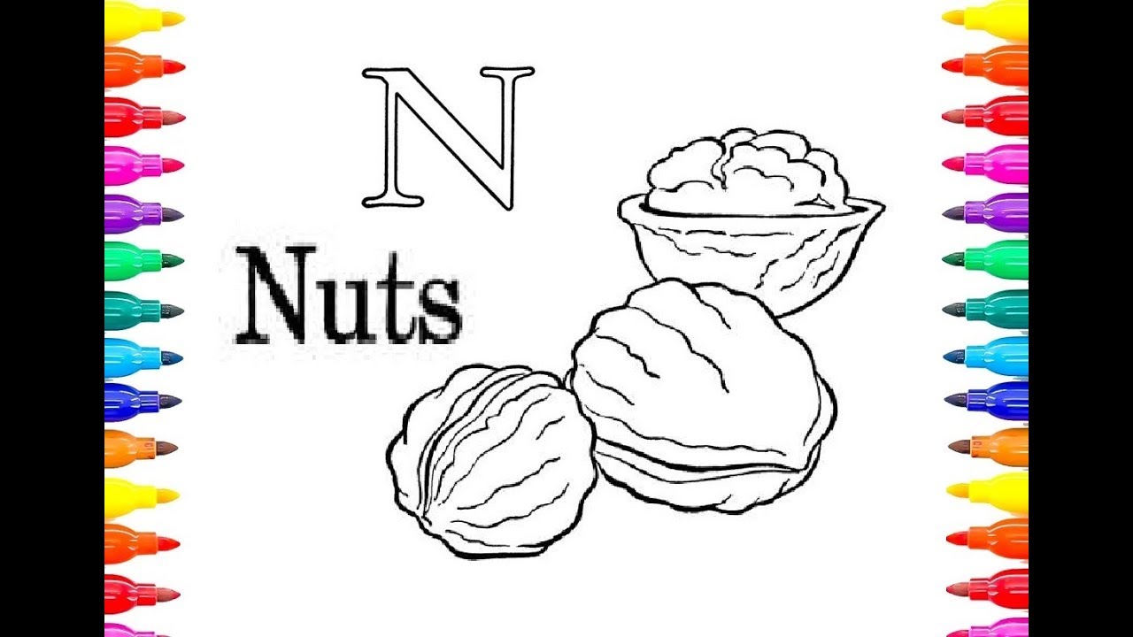 Nuts Drawing at GetDrawings Free download