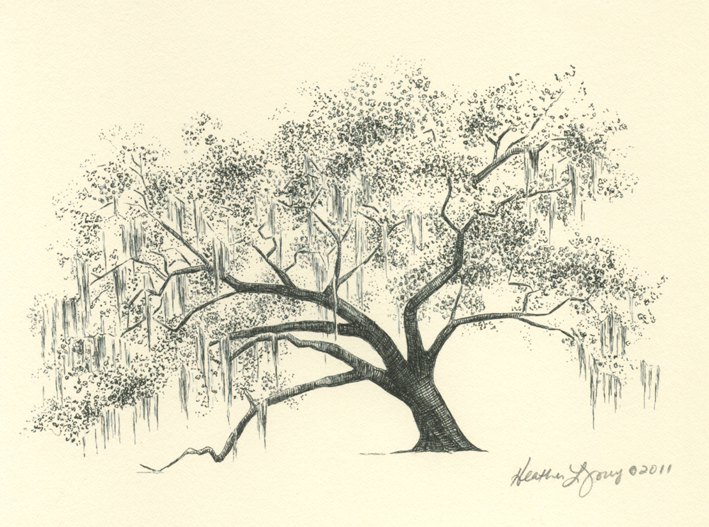 Oak Trees Drawing at GetDrawings | Free download