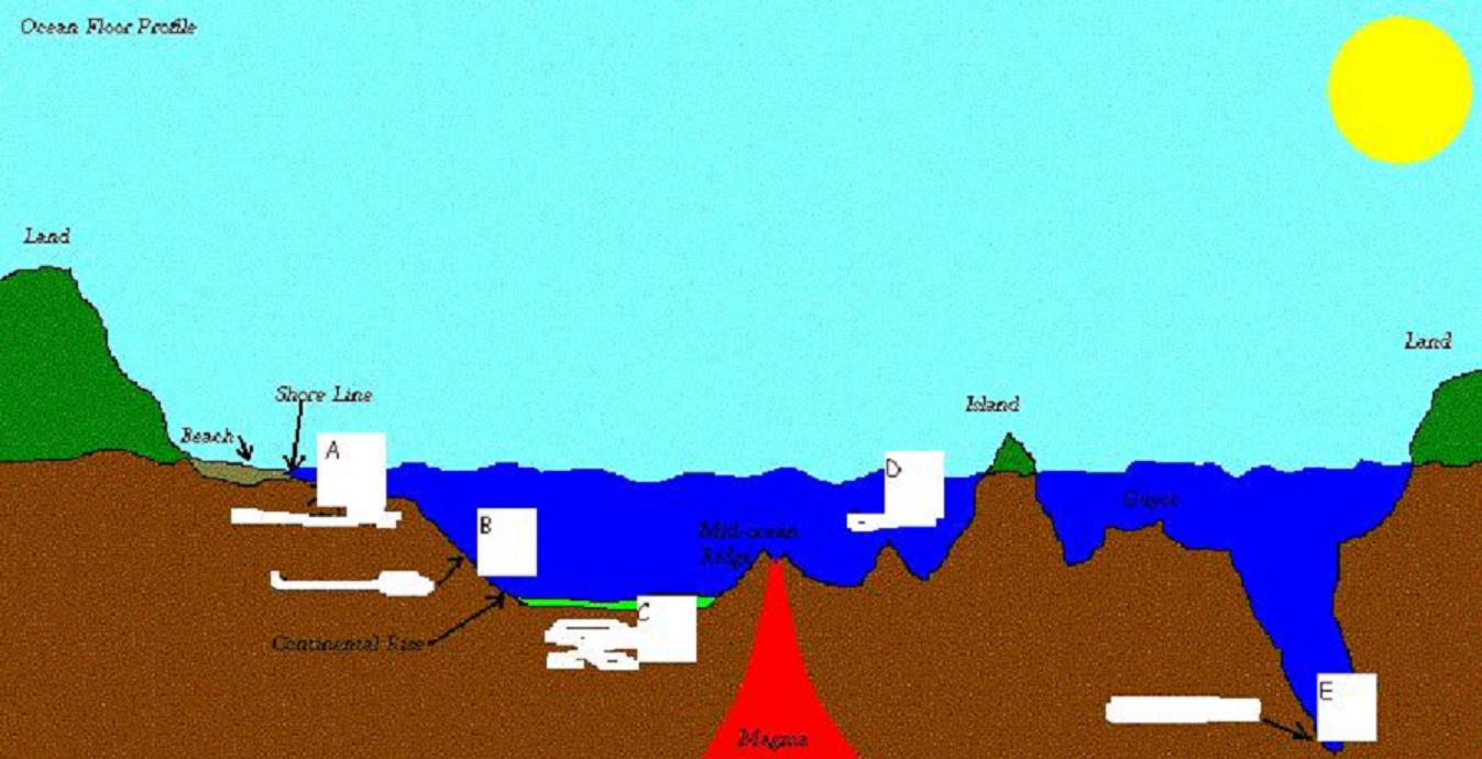 Features Of The Ocean Floor Diagram - Hanenhuusholli