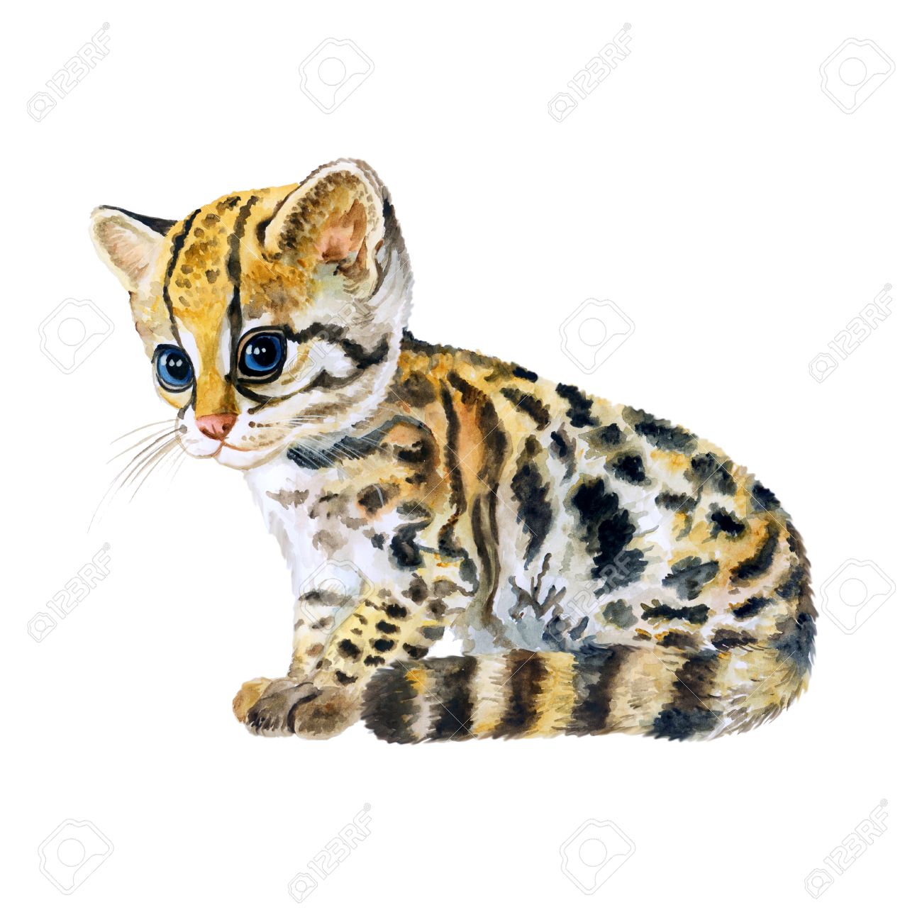 Ocelot Drawing at GetDrawings | Free download