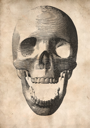 Open Mouth Skull Drawing at GetDrawings | Free download