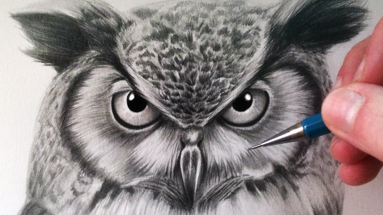 Owl Drawing At GetDrawings Free Download