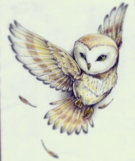 Owl Flying Drawing at GetDrawings | Free download