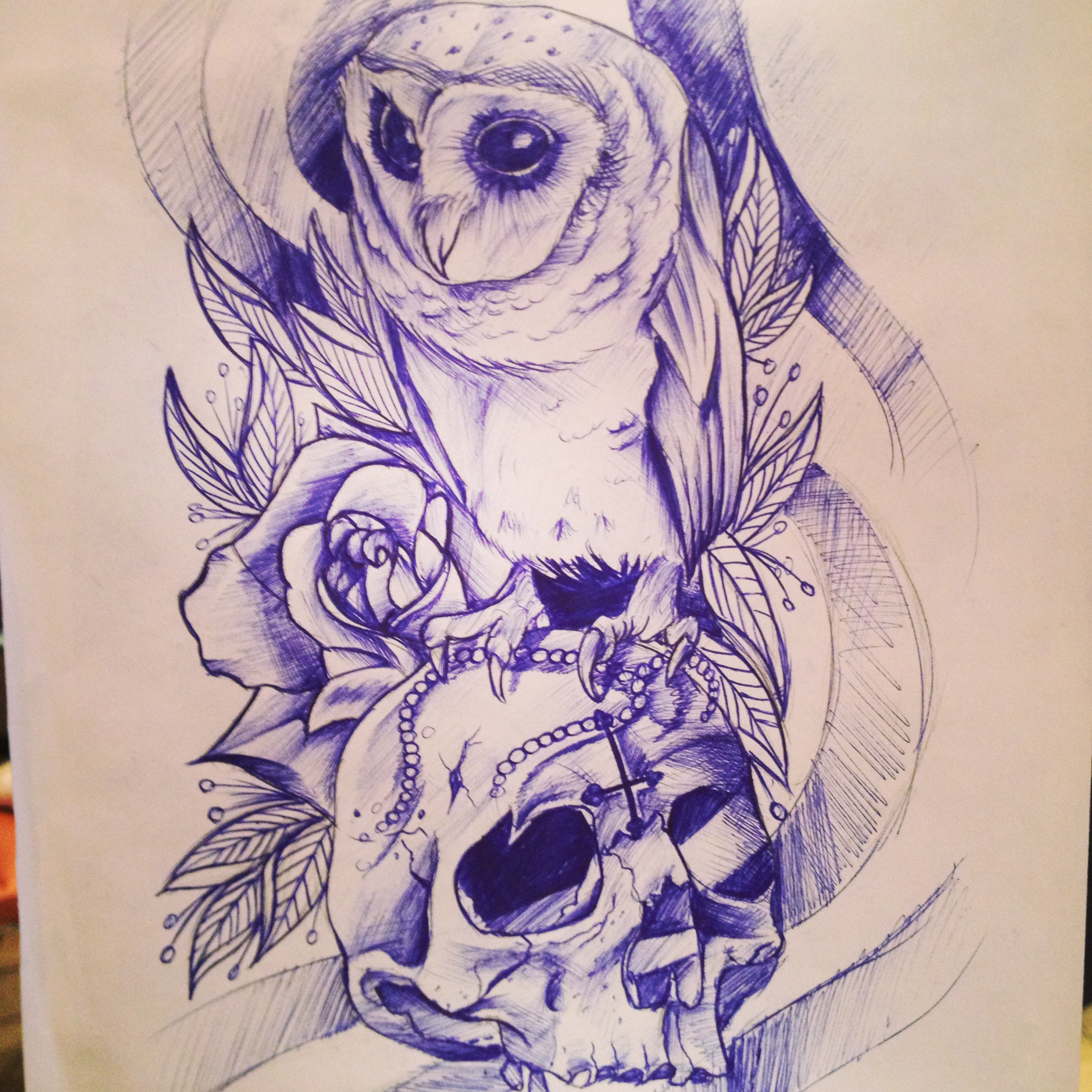 Owl Skull Drawing at GetDrawings Free download