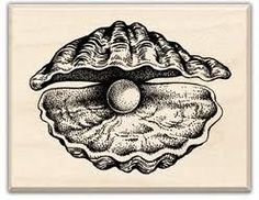 Oyster Drawing at GetDrawings | Free download