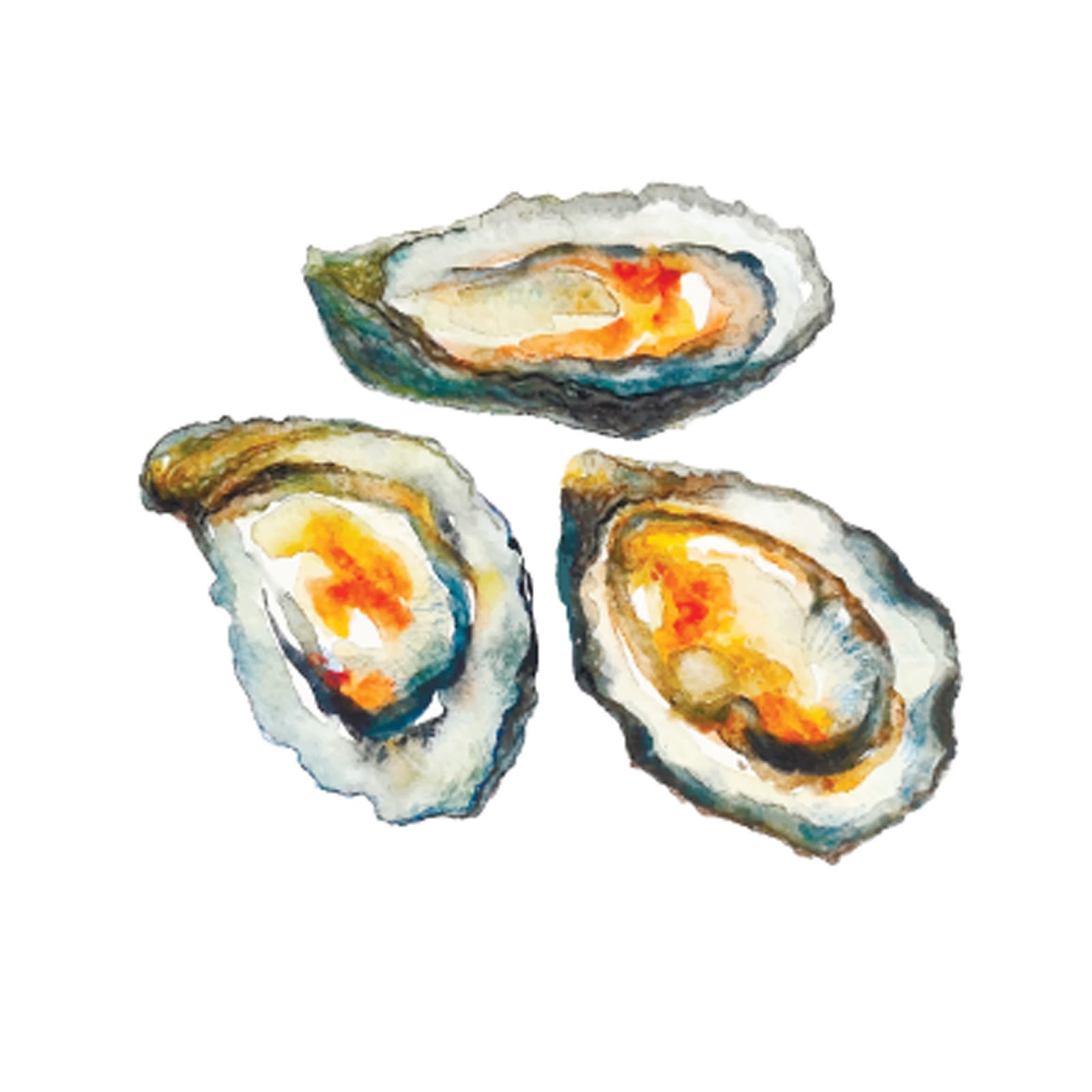 Oysters Drawing at GetDrawings Free download