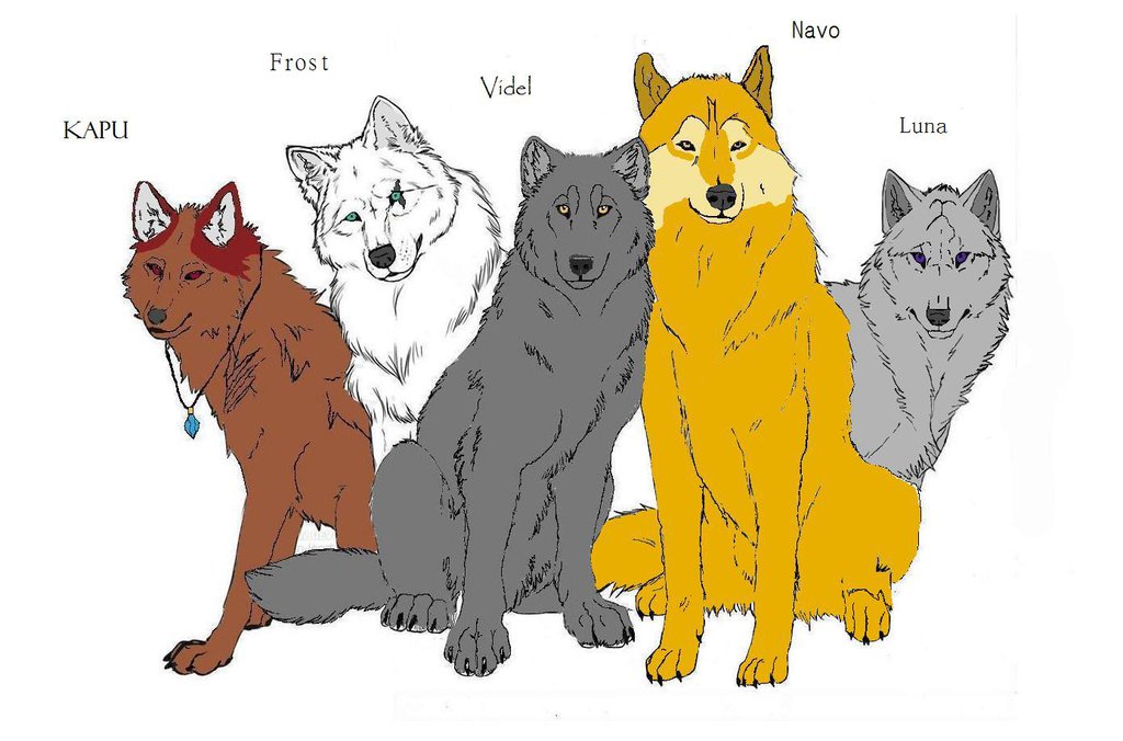Pack Of Wolves Drawing at GetDrawings | Free download