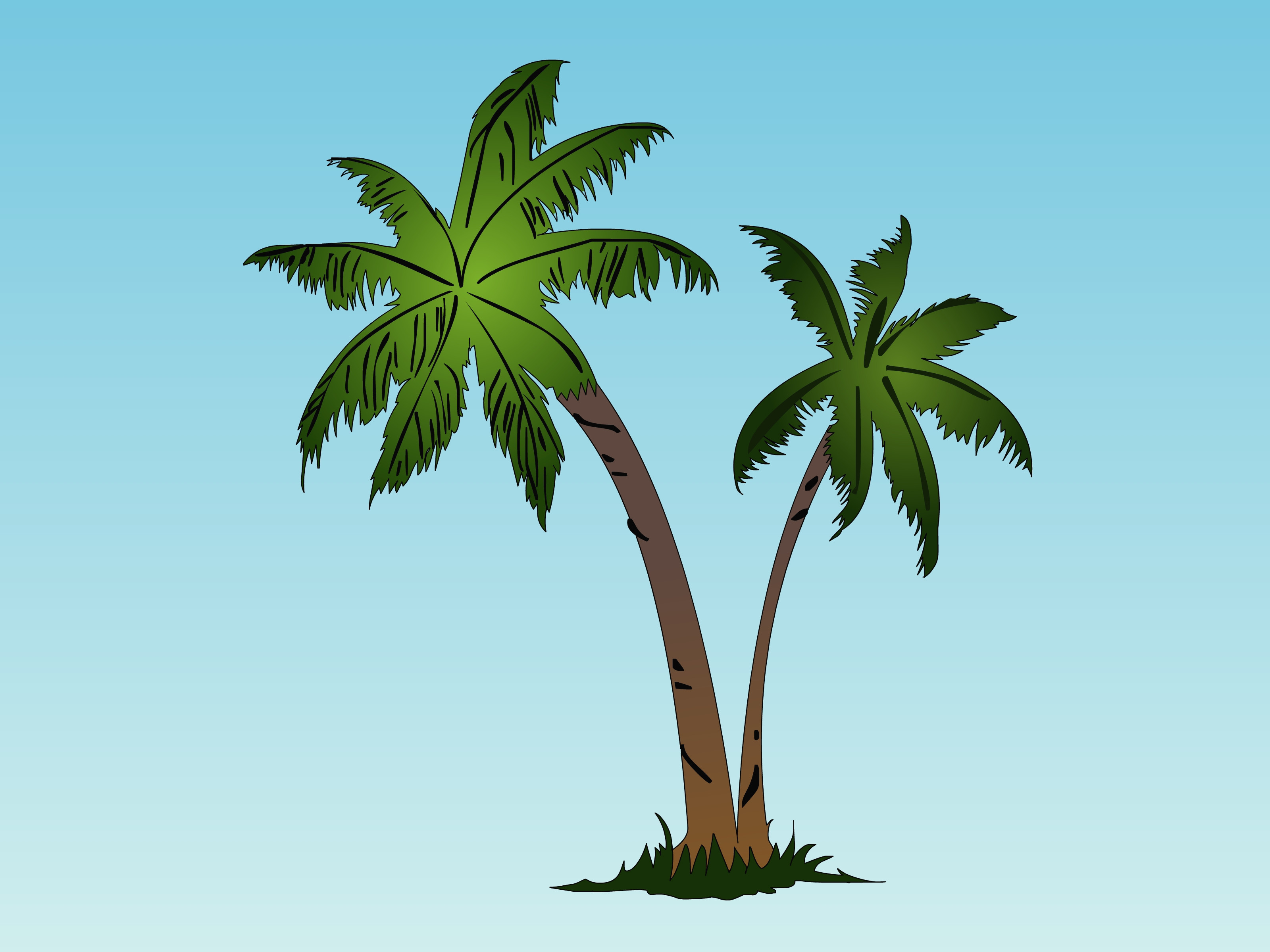 The best free Coconut tree drawing images. Download from 19461 free