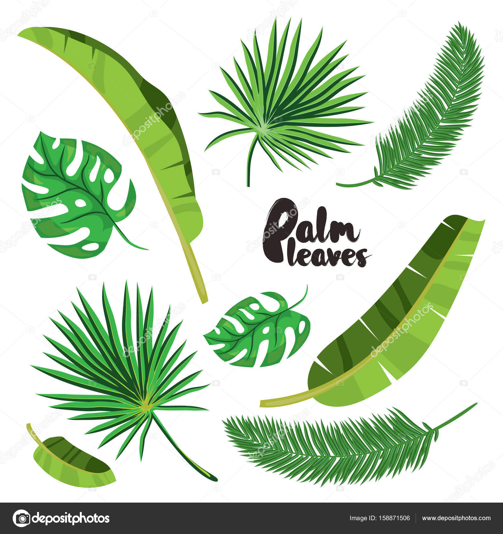 Palm Tree Leaf Drawing at GetDrawings | Free download