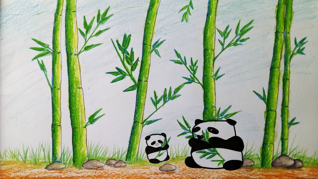 Panda with Bamboo Drawing